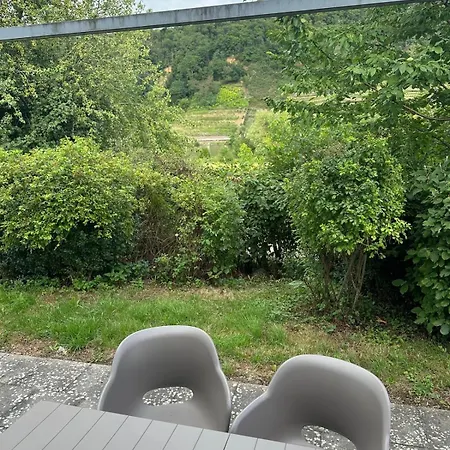 Apartamento Salus Living - Haus-parkplatz-kamin-mosel *